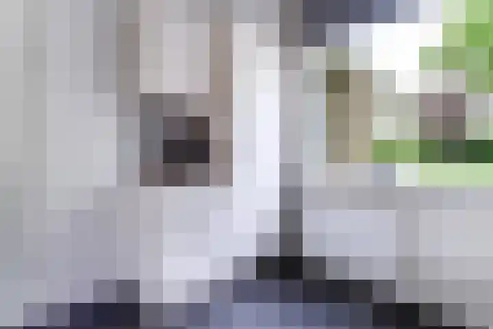 Susannadonk 47 Roosendaal thumbnail 19