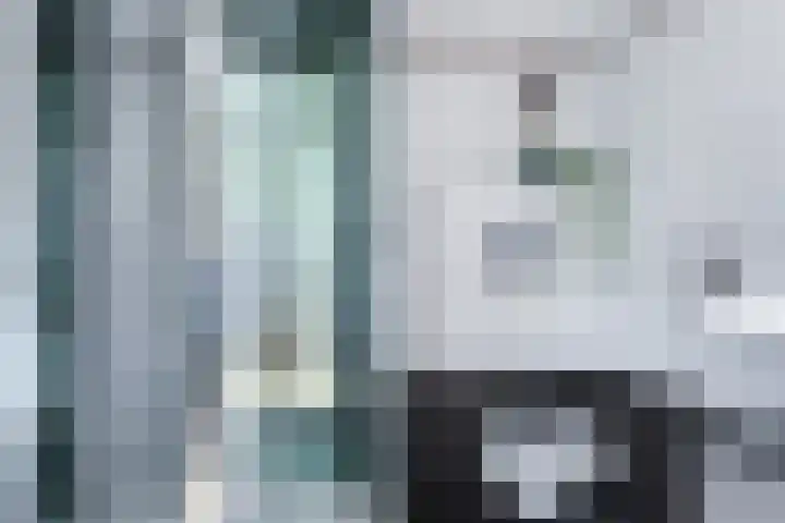Susannadonk 47 Roosendaal thumbnail 30