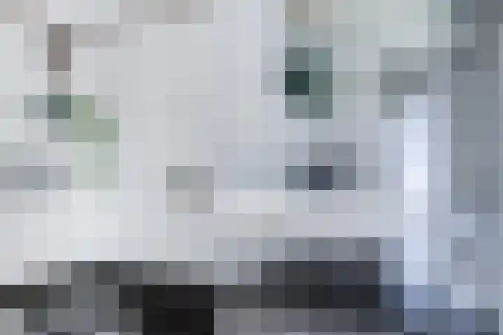 Susannadonk 47 Roosendaal thumbnail 31