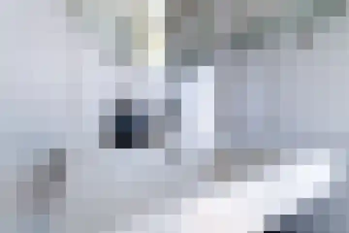 Susannadonk 47 Roosendaal thumbnail 32