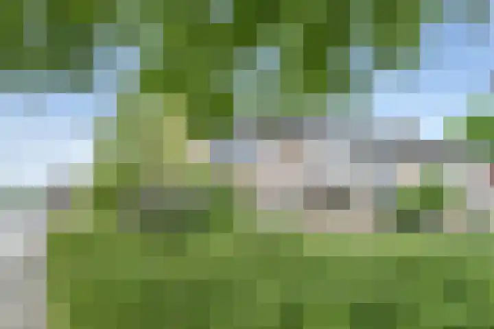 Susannadonk 47 Roosendaal thumbnail 35