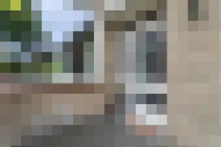 Susannadonk 47 Roosendaal thumbnail 4