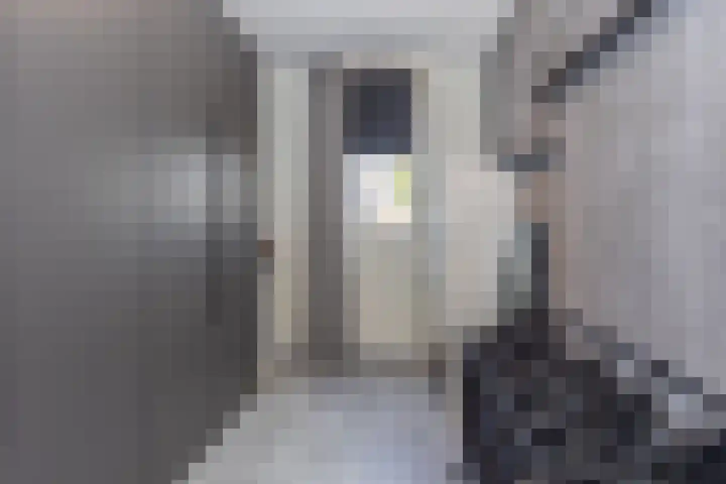 Sussexstraat 2 Sittard thumbnail 36