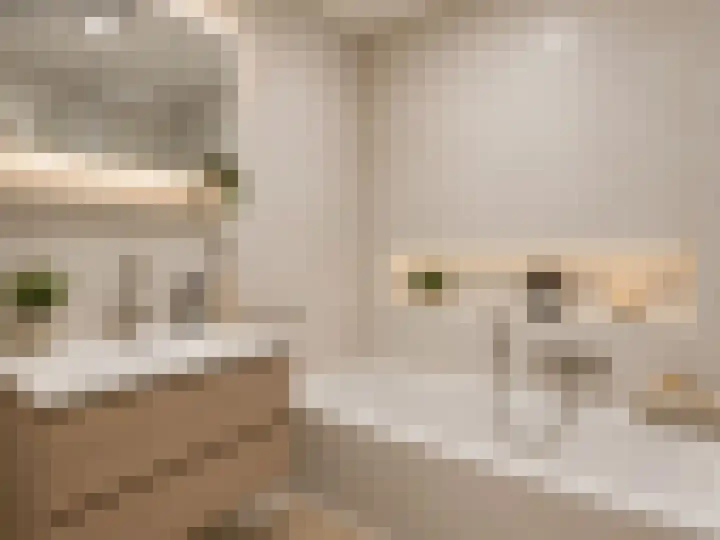 Sussexstraat 6 Sittard thumbnail 20