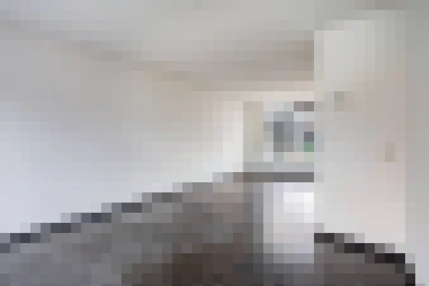 Sustenpas 10 Eindhoven thumbnail 12