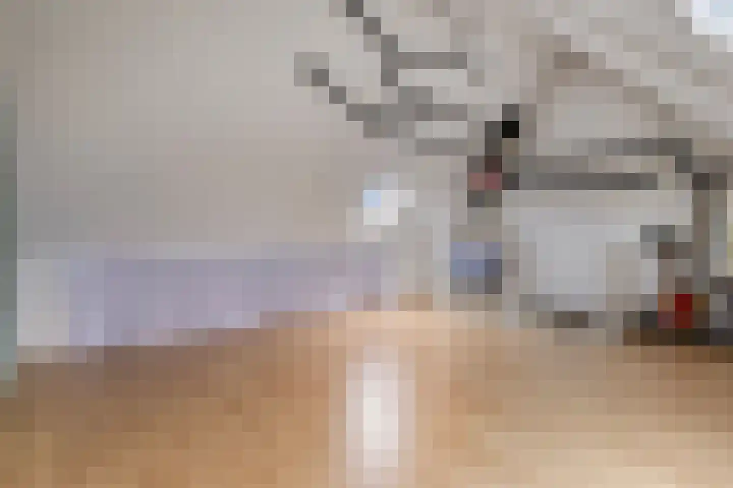 Sustenpas 10 Eindhoven thumbnail 21