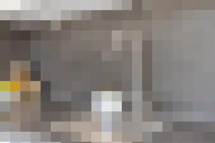 Sustenpas 16 Eindhoven thumbnail 16