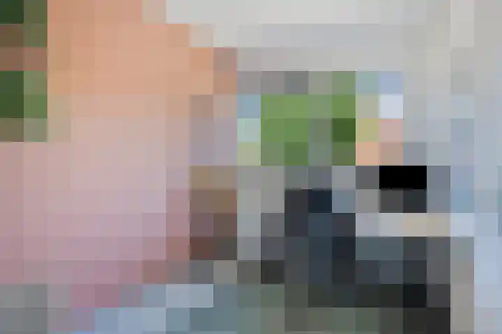 Sustenpas 16 Eindhoven thumbnail 24