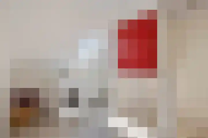 Sustenpas 16 Eindhoven thumbnail 25