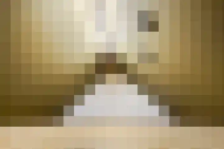 Sustenpas 16 Eindhoven thumbnail 30