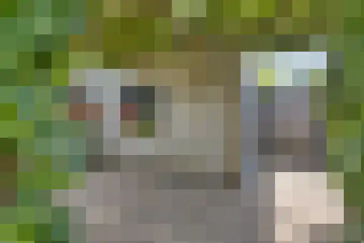 Sustenpas 16 Eindhoven thumbnail 33