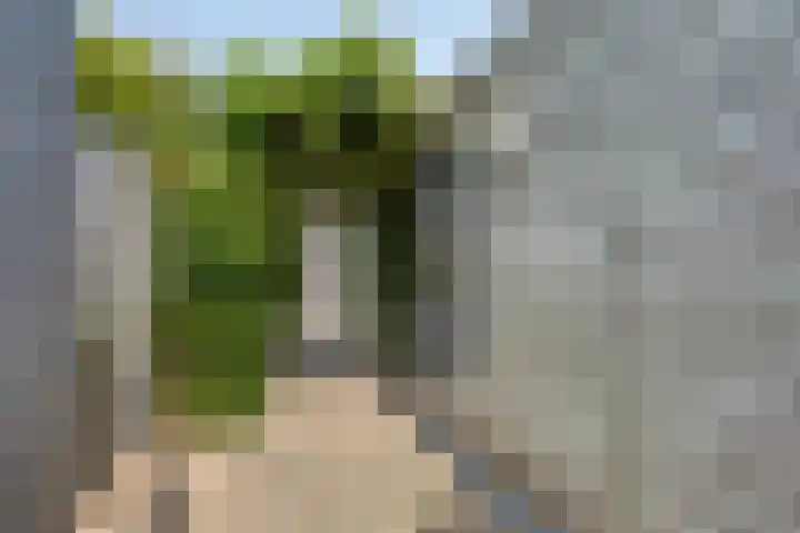 Sustenpas 16 Eindhoven thumbnail 37