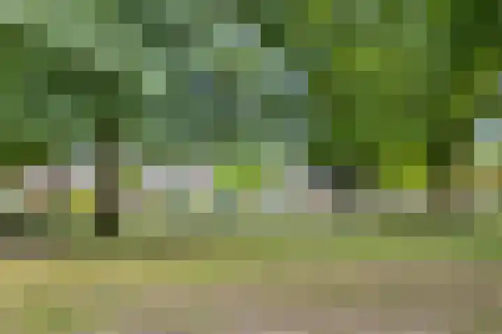 Sustenpas 16 Eindhoven thumbnail 38