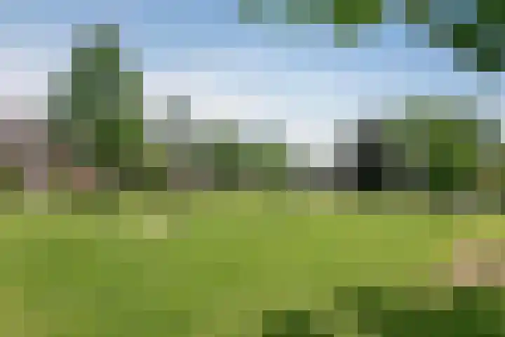 Sustenpas 16 Eindhoven thumbnail 39
