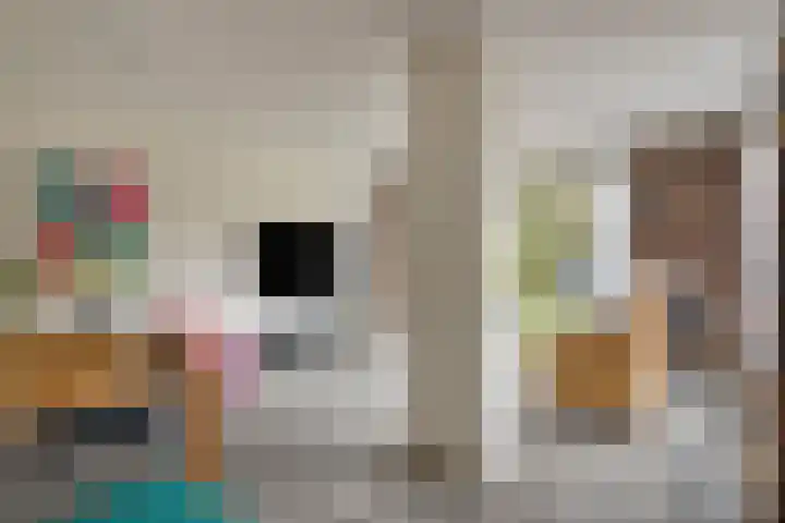 Sustenpas 29 Eindhoven thumbnail 11