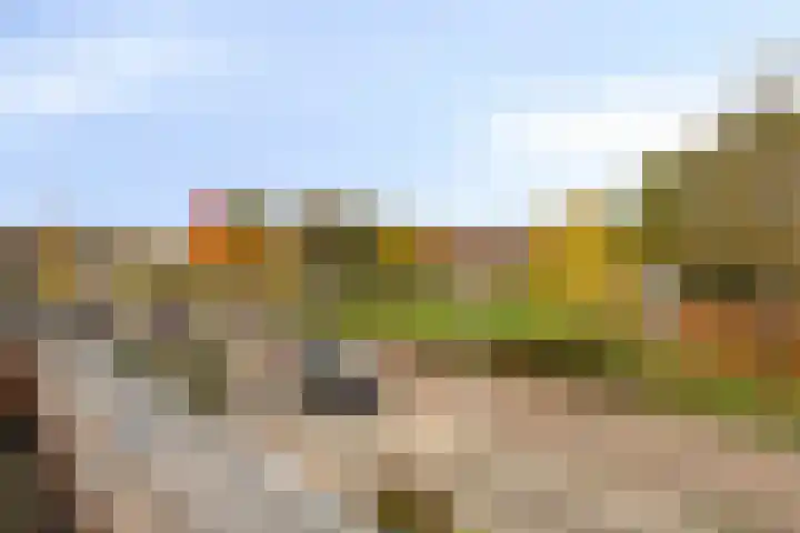 Sustenpas 29 Eindhoven thumbnail 29