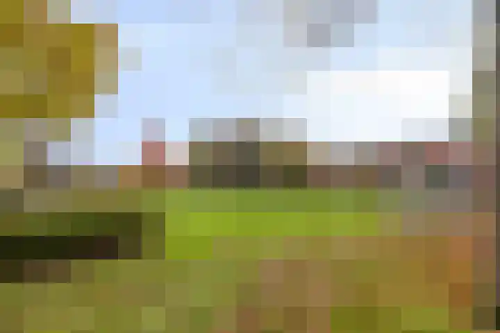 Sustenpas 29 Eindhoven thumbnail 4