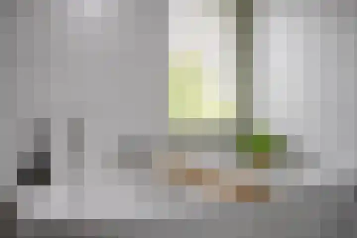 Sustenpas 29 Eindhoven thumbnail 41