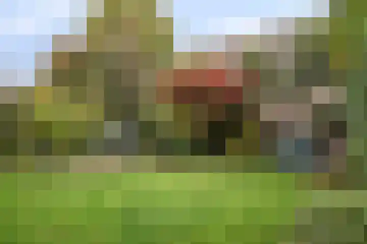 Sustenpas 29 Eindhoven thumbnail 50