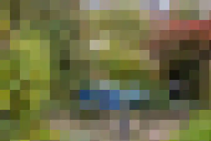 Sustenpas 29 Eindhoven thumbnail 51