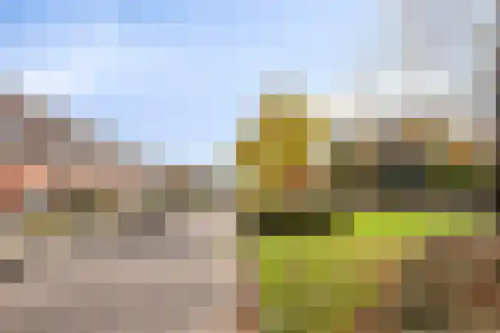 Sustenpas 29 Eindhoven thumbnail 60