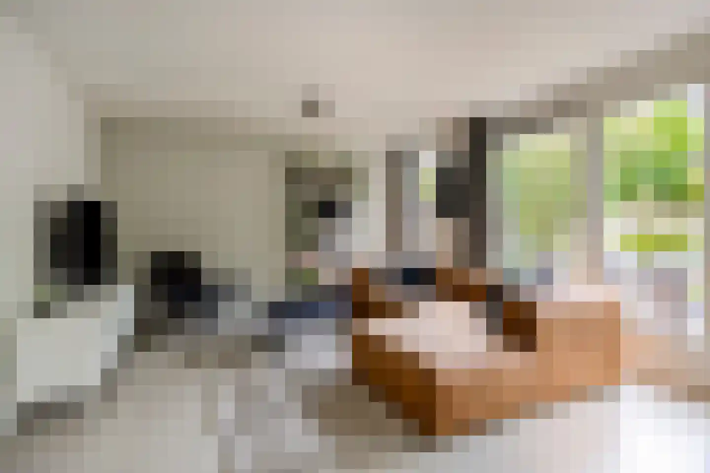 Sustenpas 37 Eindhoven thumbnail 11