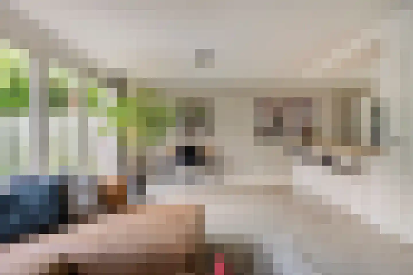 Sustenpas 37 Eindhoven thumbnail 13