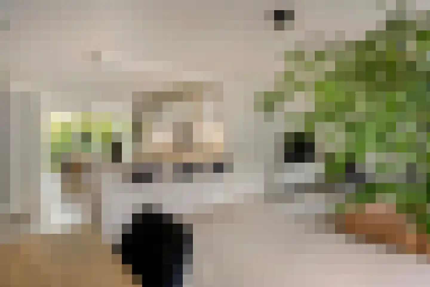 Sustenpas 37 Eindhoven thumbnail 15