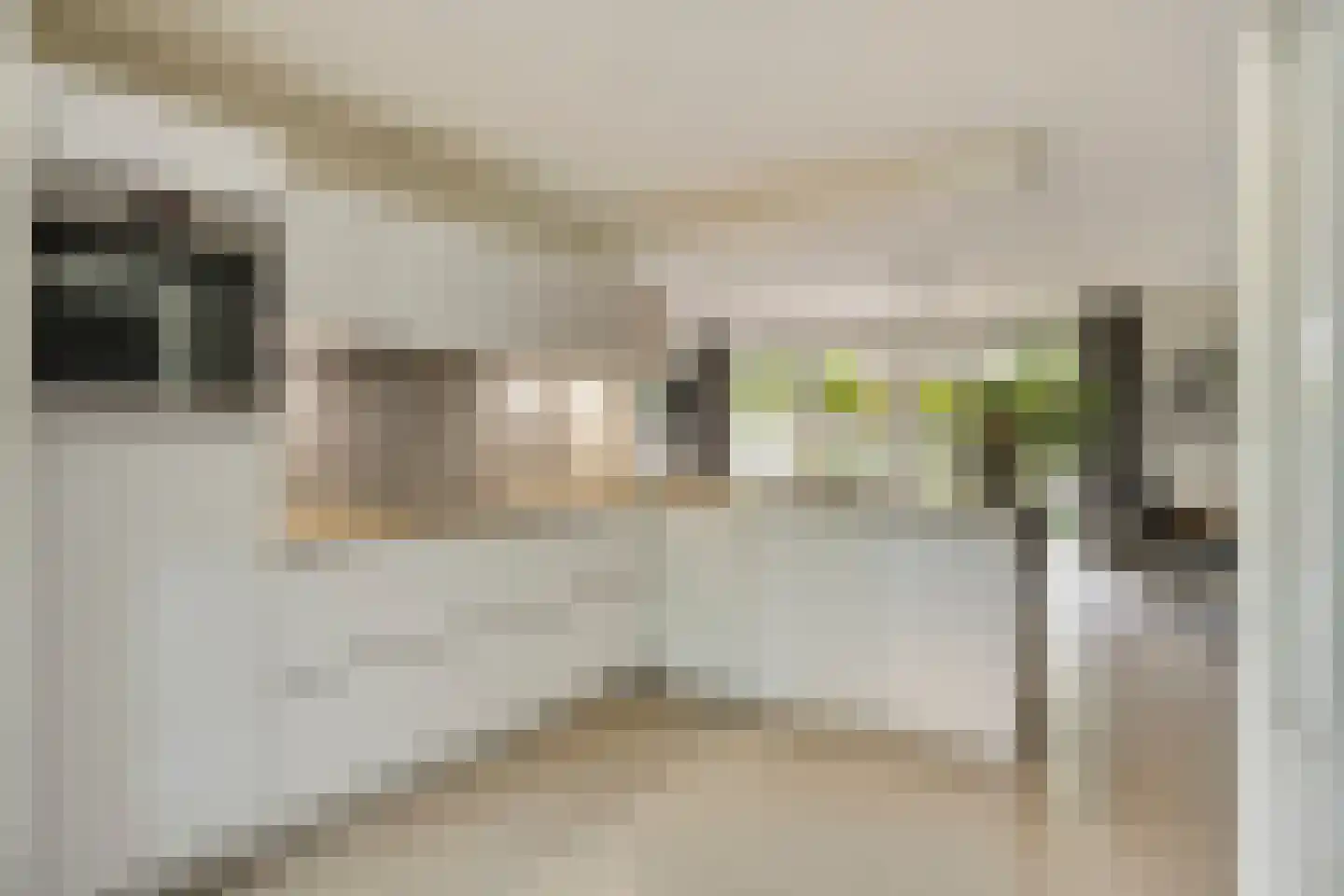 Sustenpas 37 Eindhoven thumbnail 17