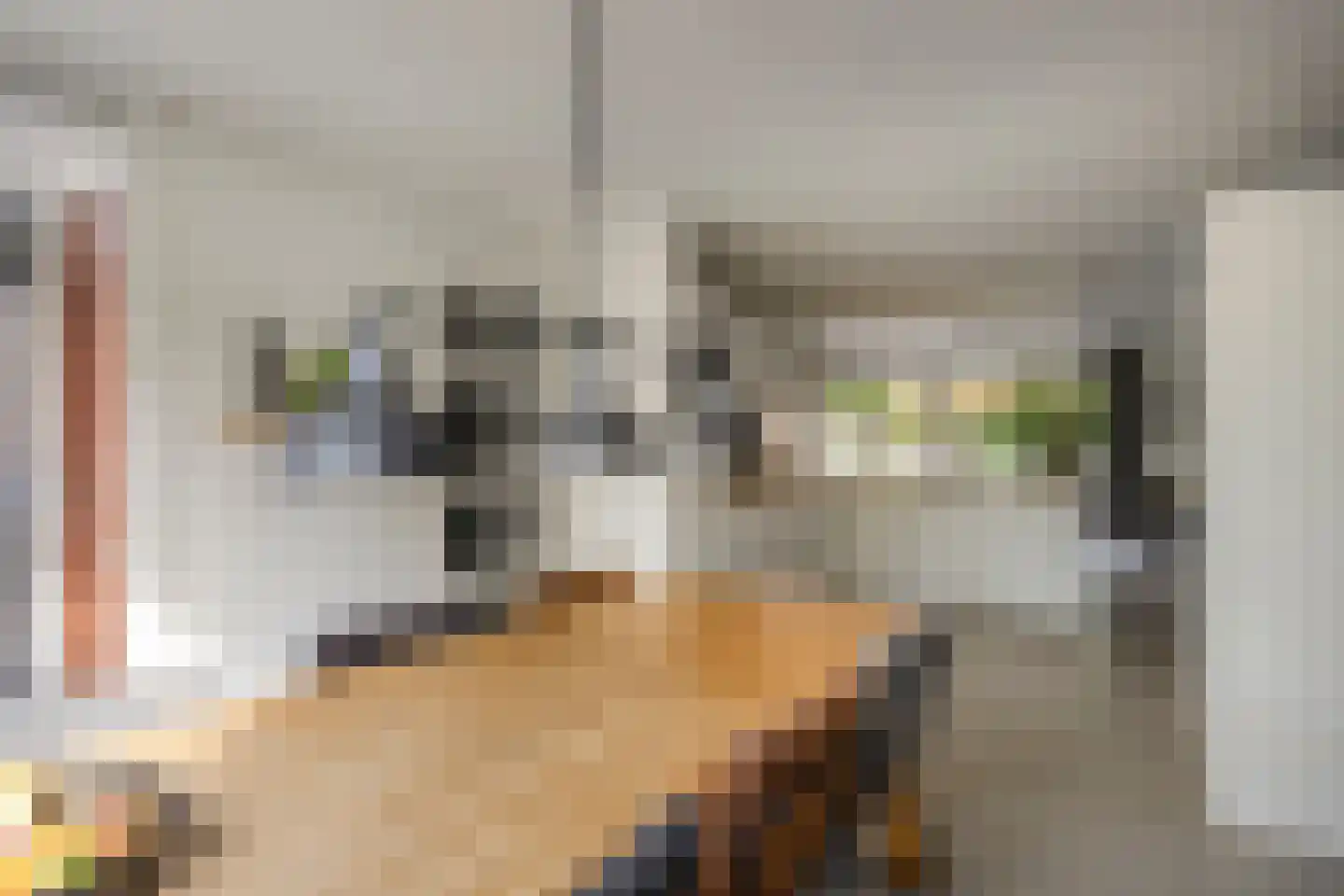 Sustenpas 37 Eindhoven thumbnail 20