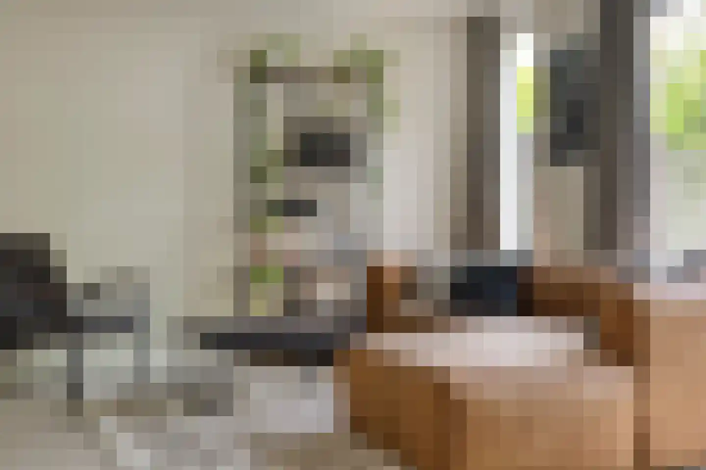 Sustenpas 37 Eindhoven thumbnail 23