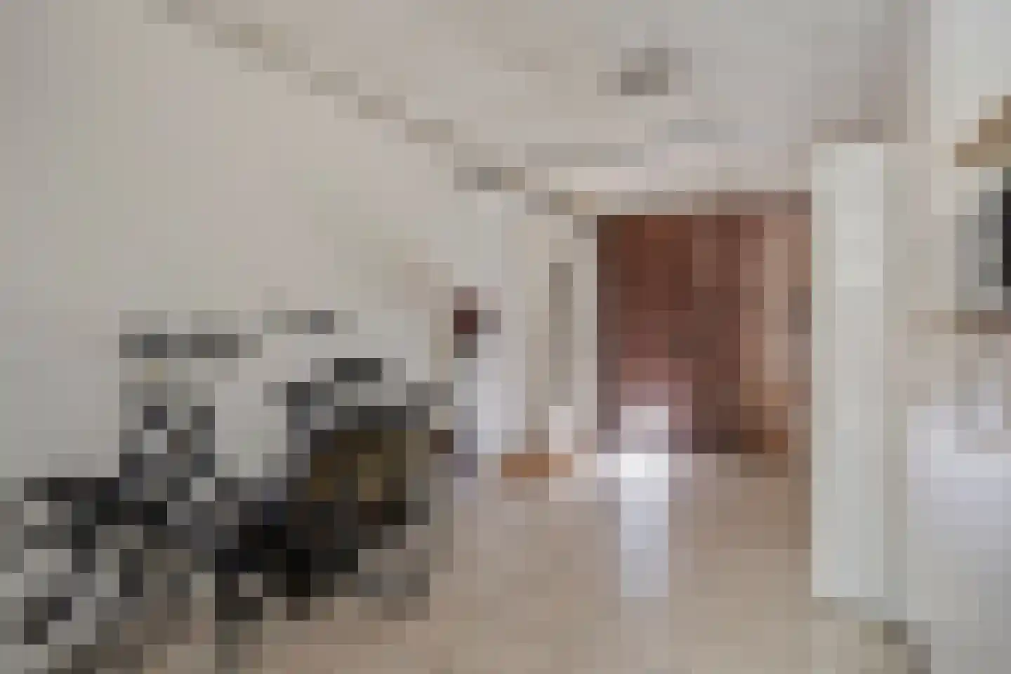 Sustenpas 37 Eindhoven thumbnail 32