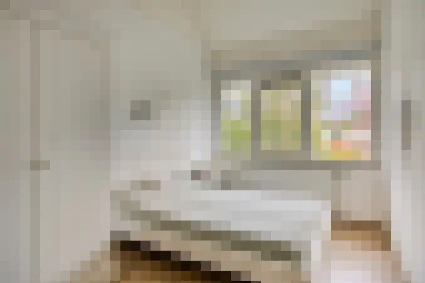Sustenpas 37 Eindhoven thumbnail 37