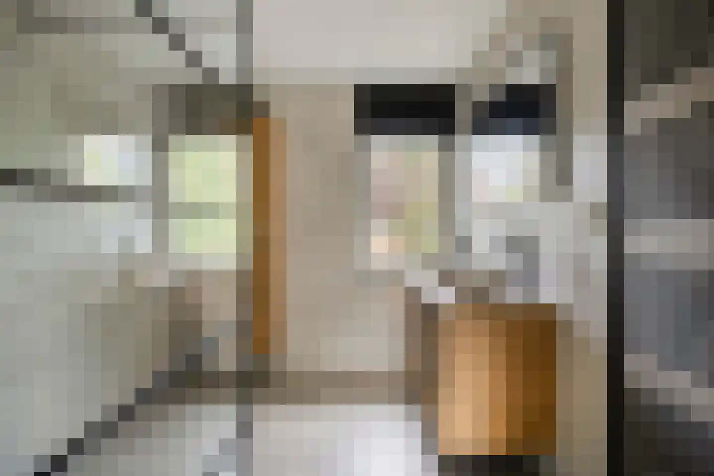 Sustenpas 37 Eindhoven thumbnail 39