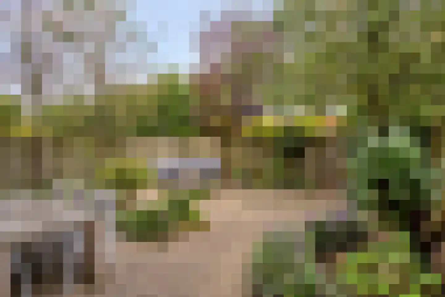 Sustenpas 37 Eindhoven thumbnail 4