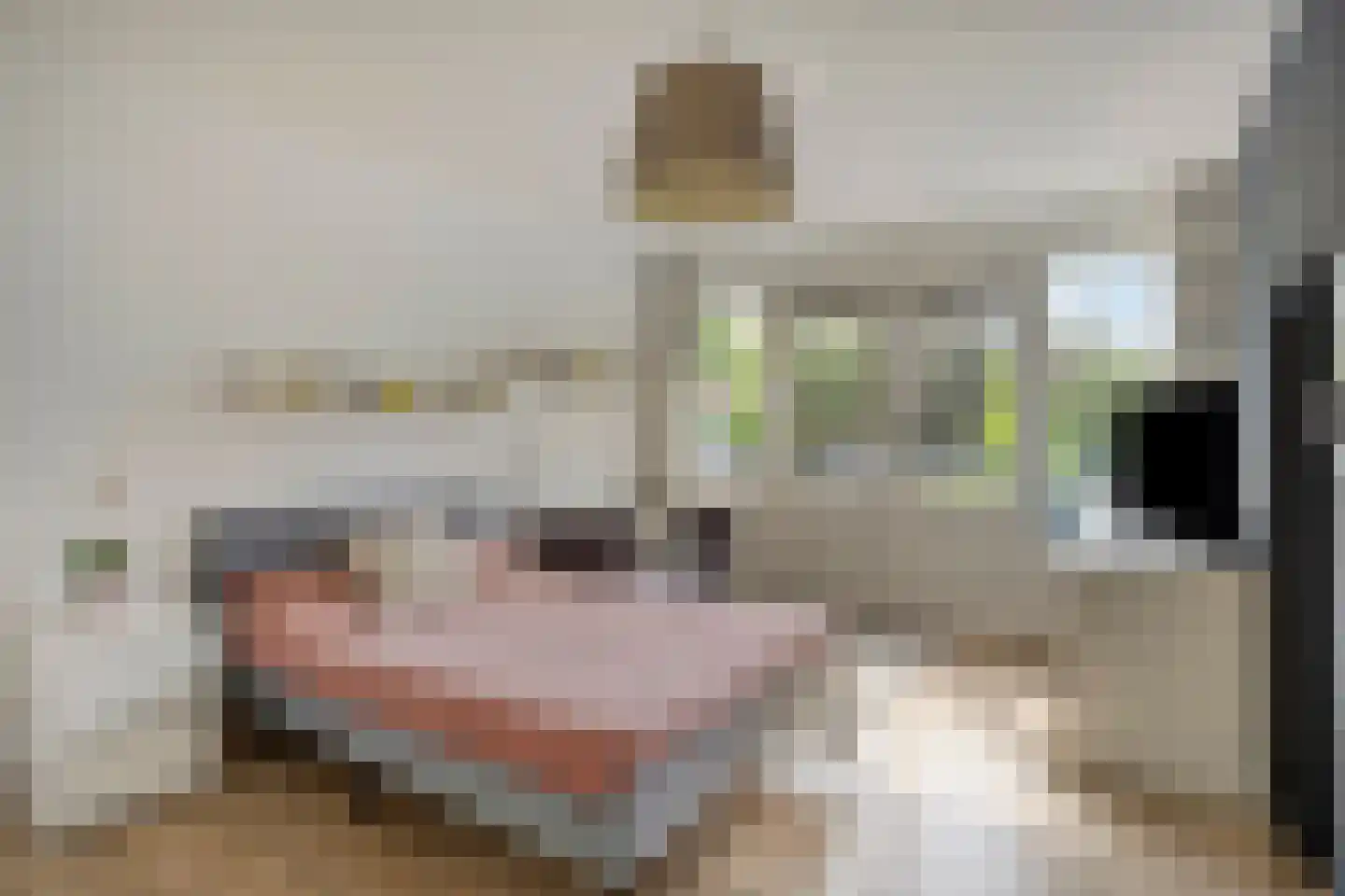 Sustenpas 37 Eindhoven thumbnail 43