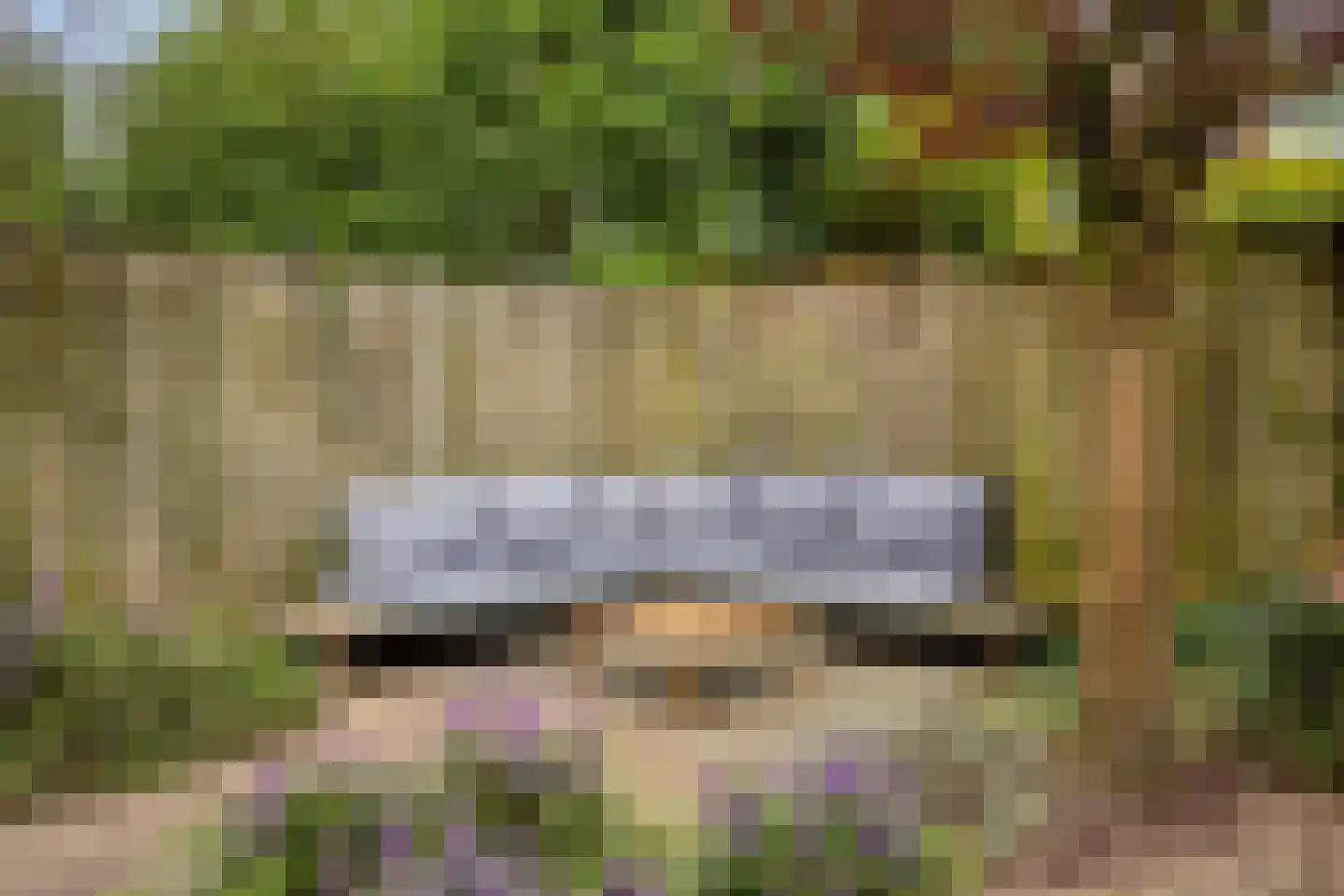 Sustenpas 37 Eindhoven thumbnail 55