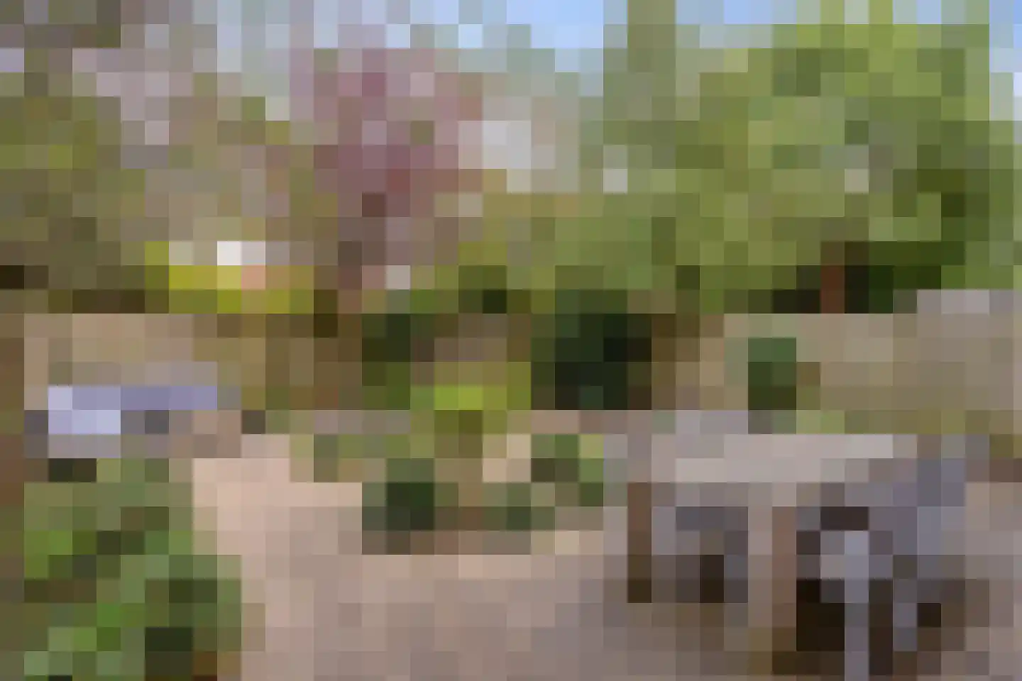 Sustenpas 37 Eindhoven thumbnail 56