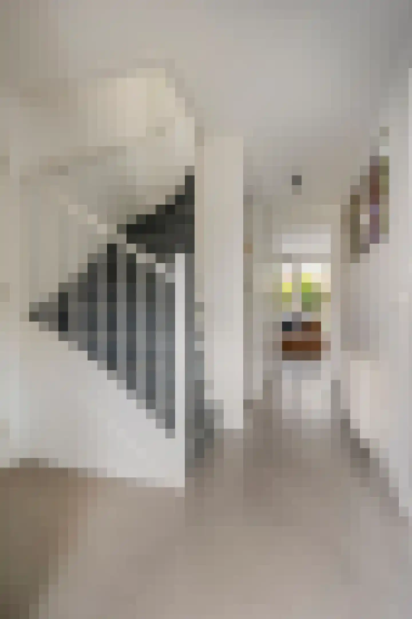 Sustenpas 37 Eindhoven thumbnail 8