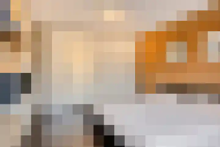 Sustenpas 49 Eindhoven thumbnail 22
