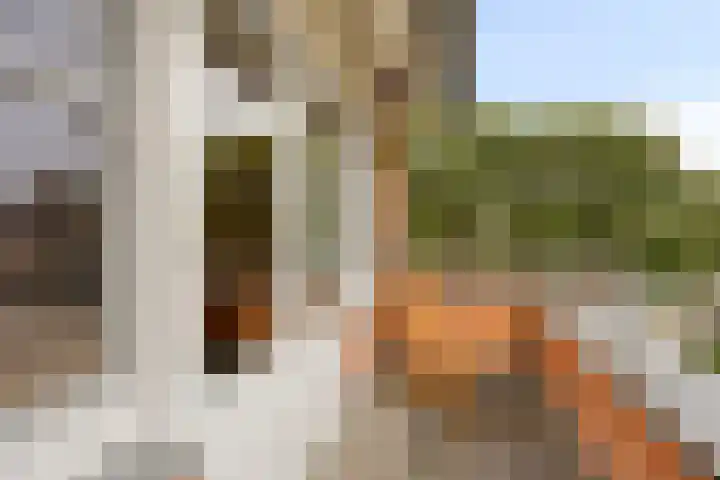Sustenpas 49 Eindhoven thumbnail 25