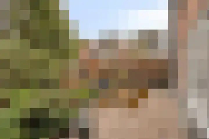 Sustenpas 49 Eindhoven thumbnail 38