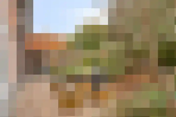 Sustenpas 49 Eindhoven thumbnail 39
