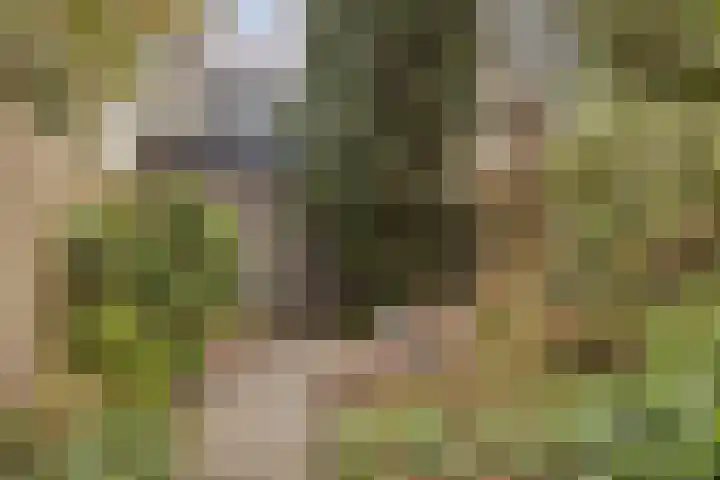 Sustenpas 49 Eindhoven thumbnail 41