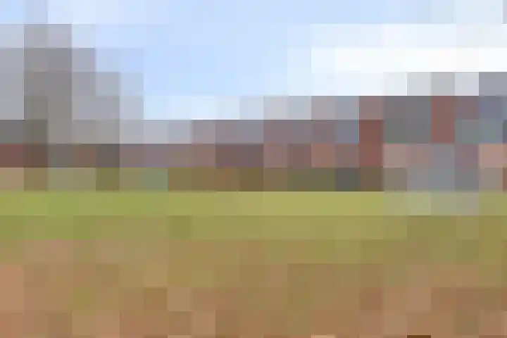 Sustenpas 49 Eindhoven thumbnail 50