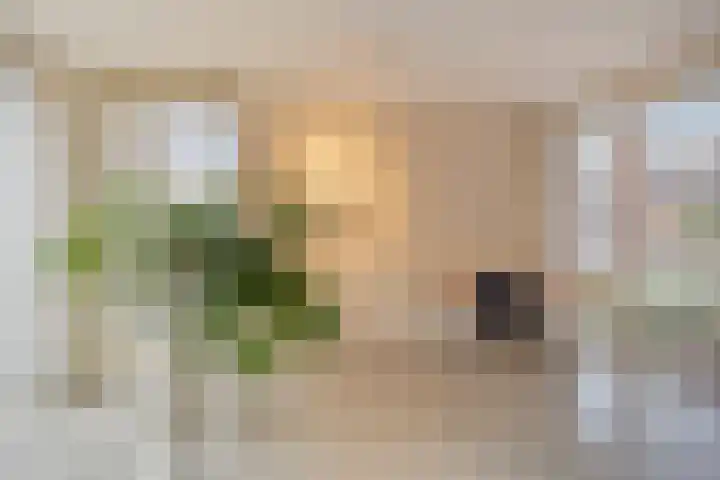 Sustenpas 49 Eindhoven thumbnail 8