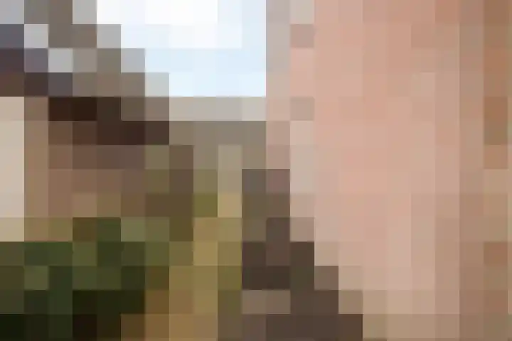 Suster v.d. Vegtstrjitte 13 Akkrum thumbnail 16