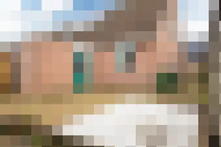 Suster v.d. Vegtstrjitte 13 Akkrum thumbnail 18