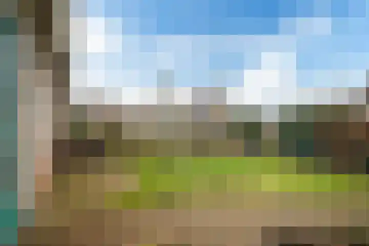 Suster v.d. Vegtstrjitte 13 Akkrum thumbnail 4
