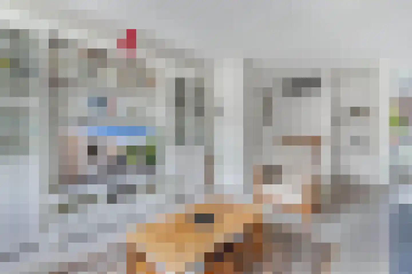 Suster v.d. Vegtstrjitte 28 Akkrum thumbnail 12